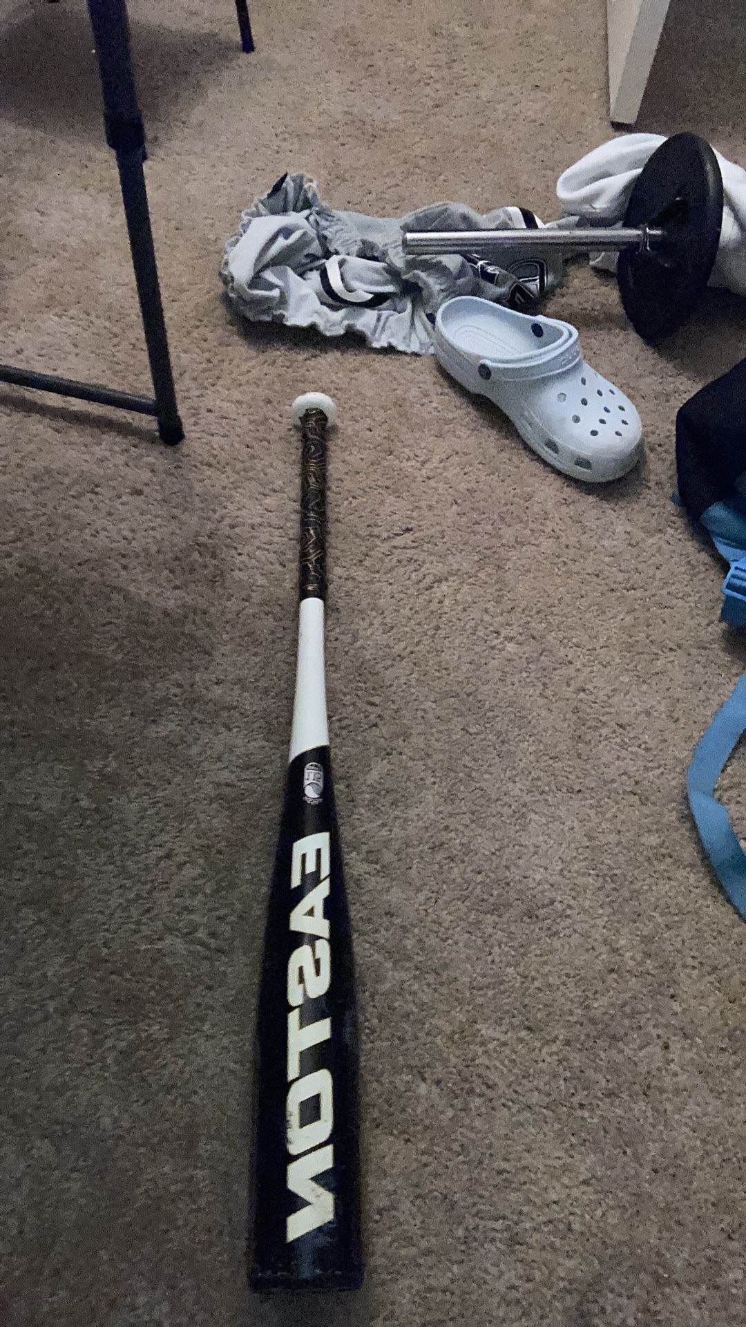 easton beast baseball bat