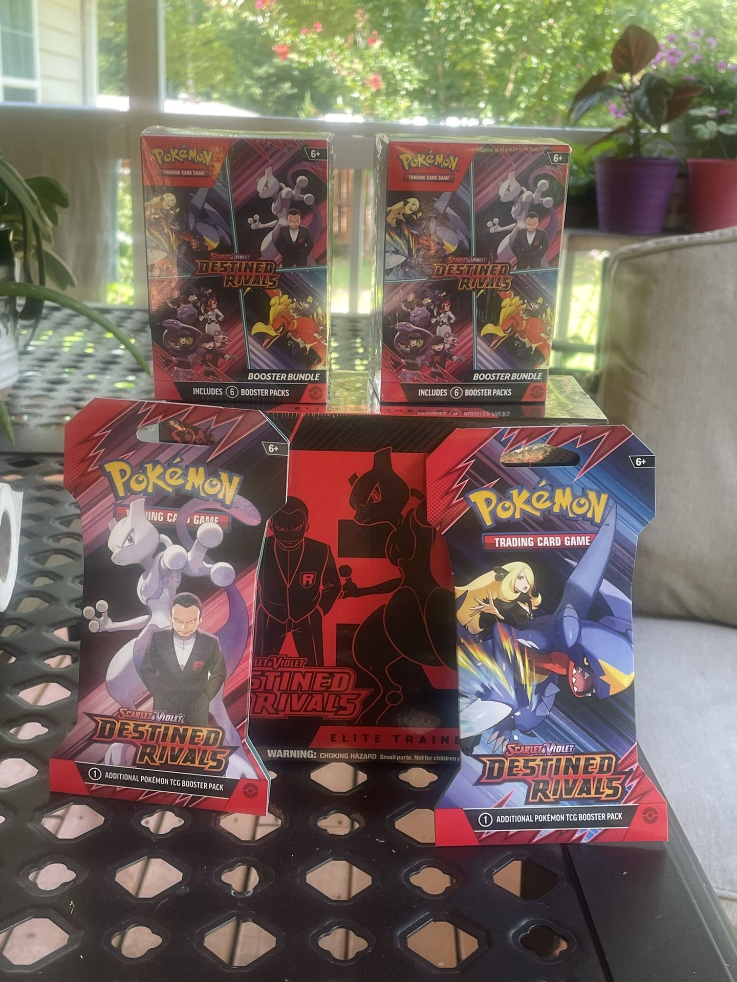 Pokemon Destined rivals