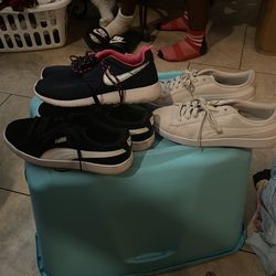 Pumas