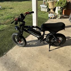 Vaster VDL A13 Electric Bike