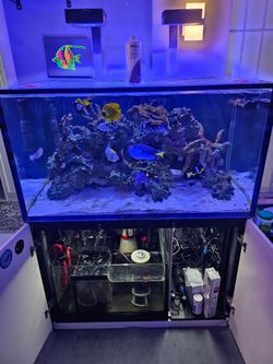 Red sea g2 s550 complete aquarium