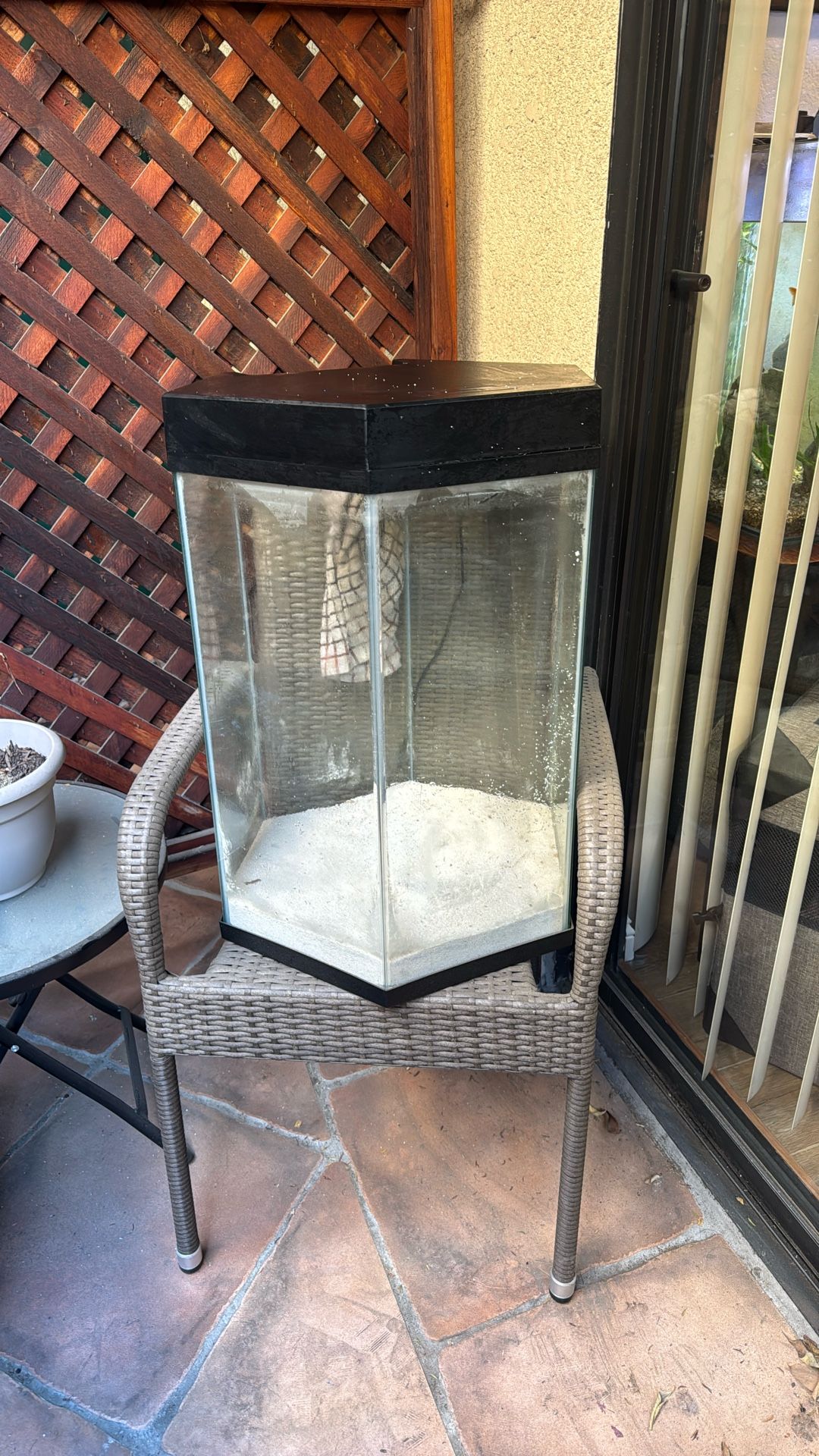 20 Gallon Fish Tank