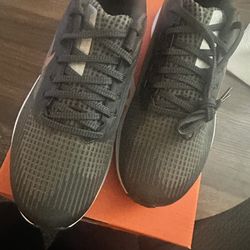 Nike Air Zoom Pegasus 39