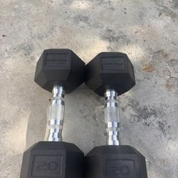 20lb Dumbbell Set