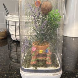Jumping Spider Enclosure 