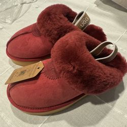 UGGs Platform