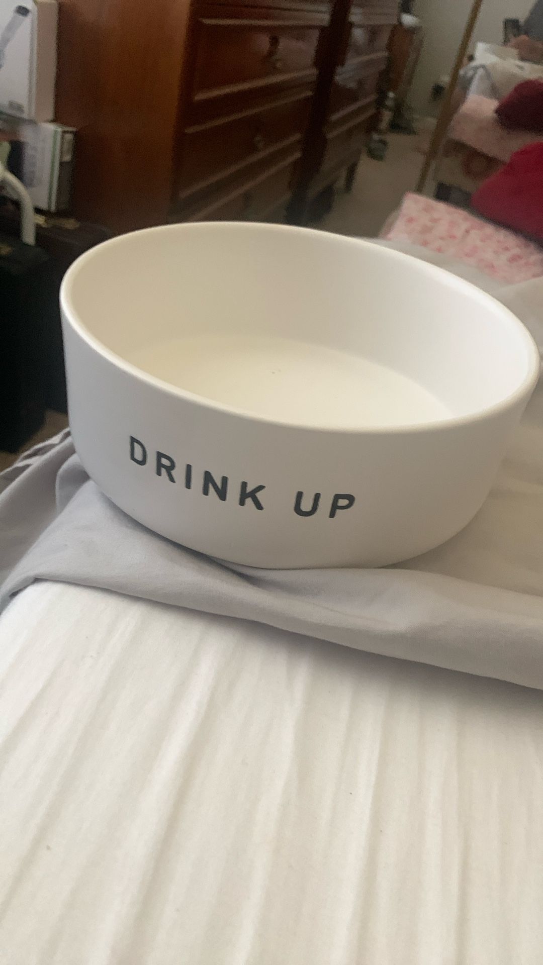 Dog Bowl