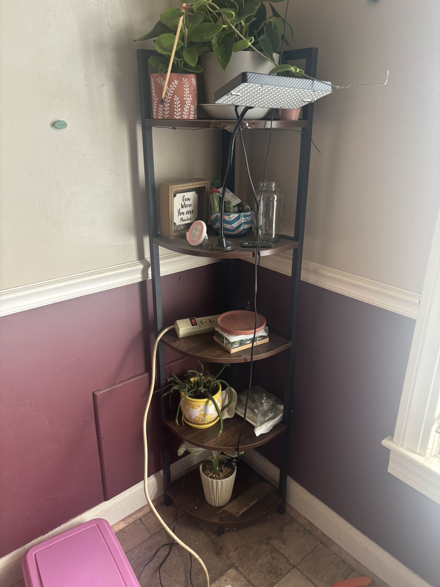 Corner Plant Shelf