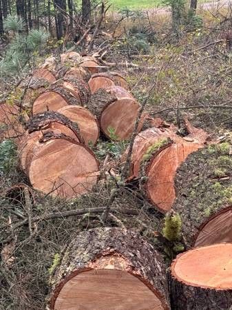 Firewood Red Fire