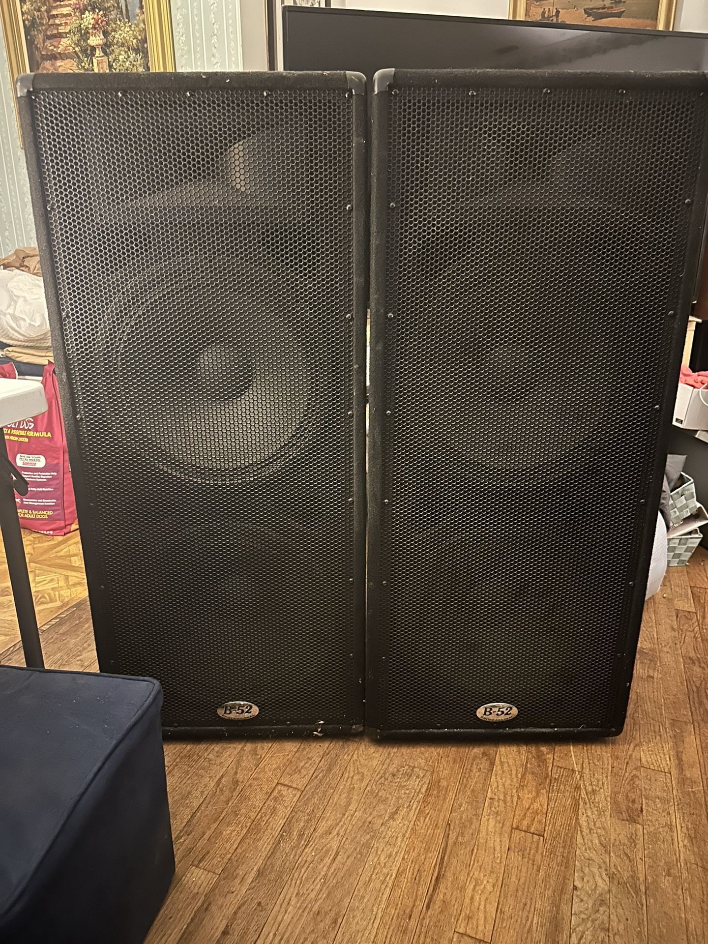 DJ speakers - club sound System - MX1515 - B52