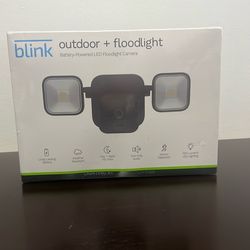 Wireless Outdoor 1-Camera System Plus Floodlight