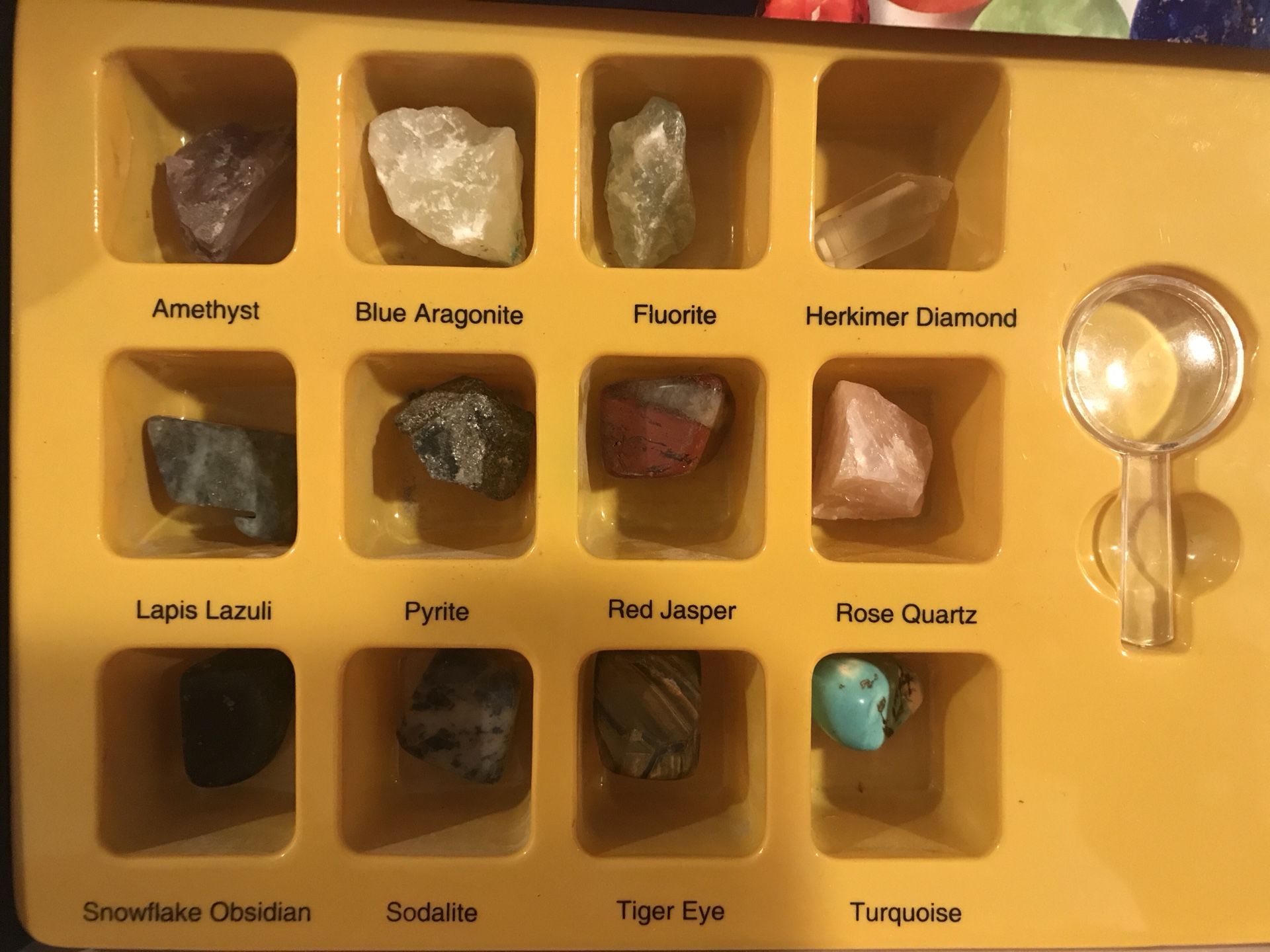 Scholastic Deluxe Rocks and Gems Collection