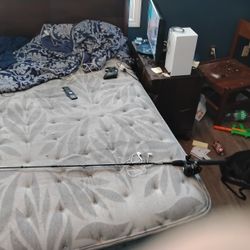 Zipco  Fishing Pole 