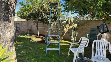 Ladder