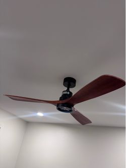 Fan $40