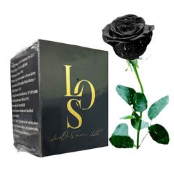 Personal Traveling Device 