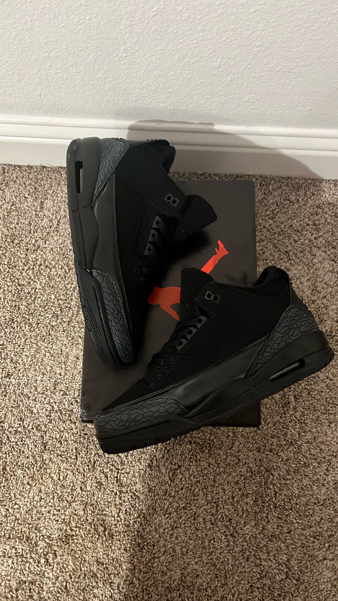 Air Jordan 3 ‘Black Cat’