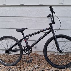 Haro 24" BMX Cruiser 