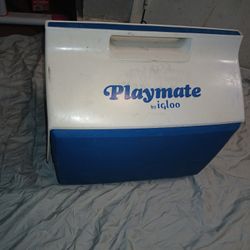 IGLOO PLAYMATE COOLER