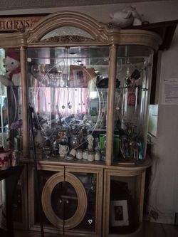 Glass shelf case
