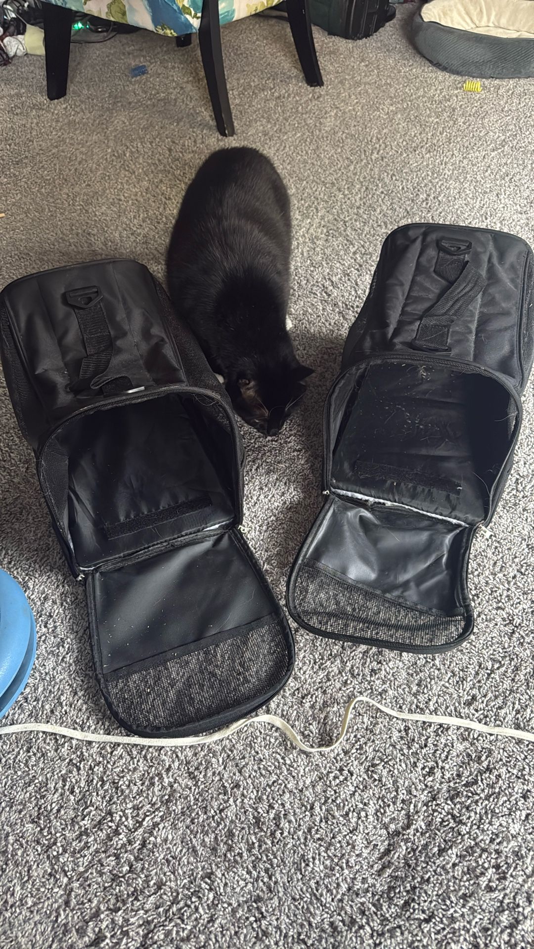 2 Small Free Cat Crates 