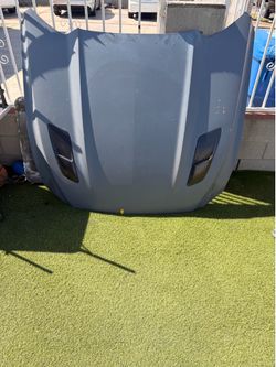 Mustang hood