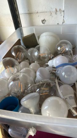 Bulbs.