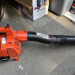 Echo Leaf Blower