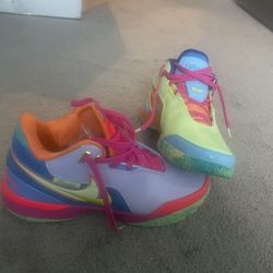 LeBrons Special Edition. Men's Size 10