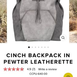 Petunia pickle bottom cinch backpack - diaper bag 
