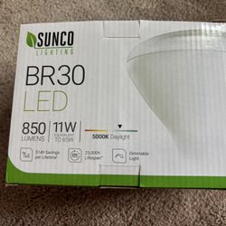 BR30 LEX Bulb 1 Count 