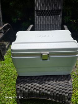 IGLOO COOLER