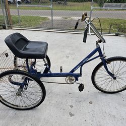 Adult Tricycle 