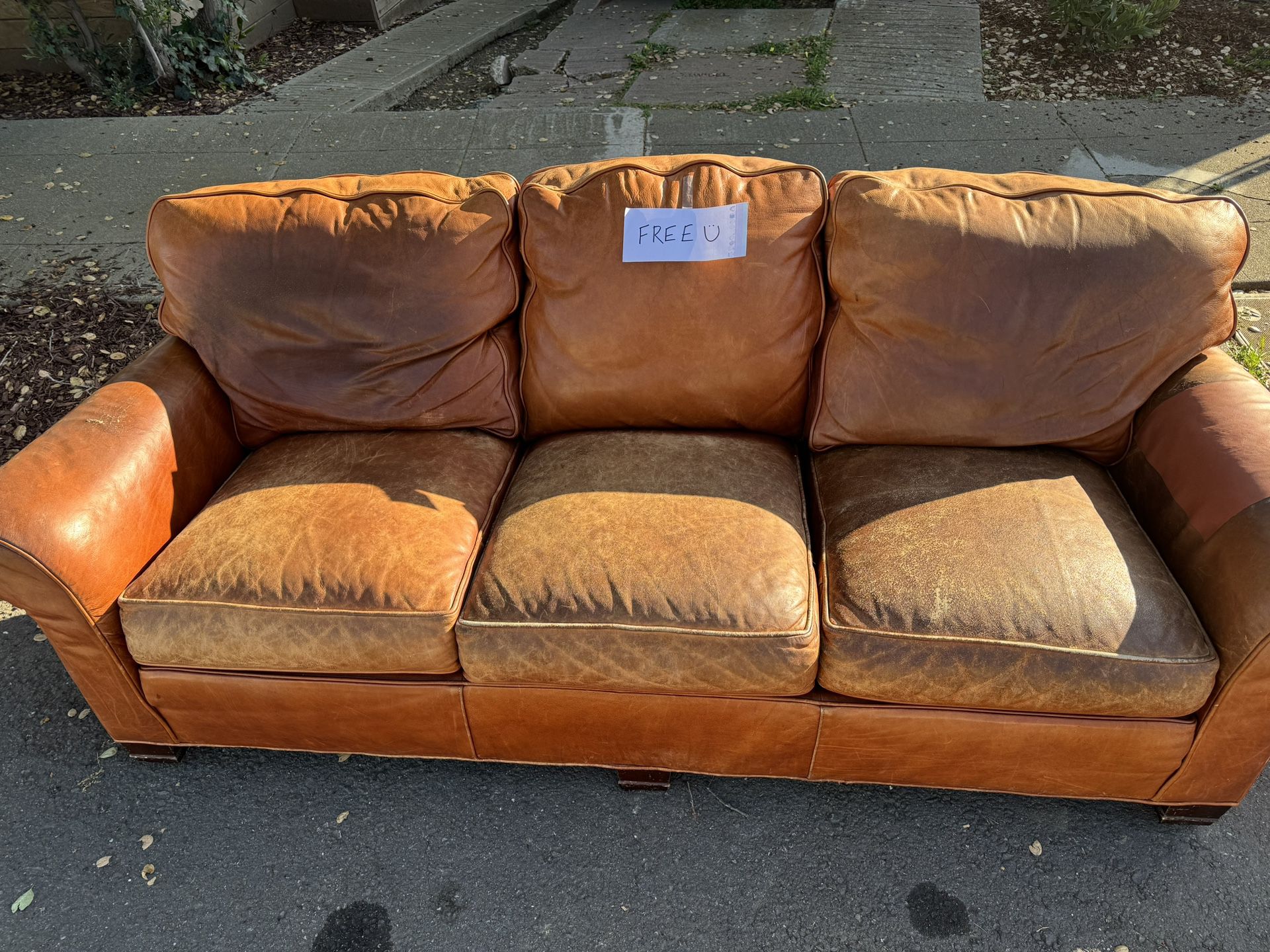 Free Leather Sofa Set