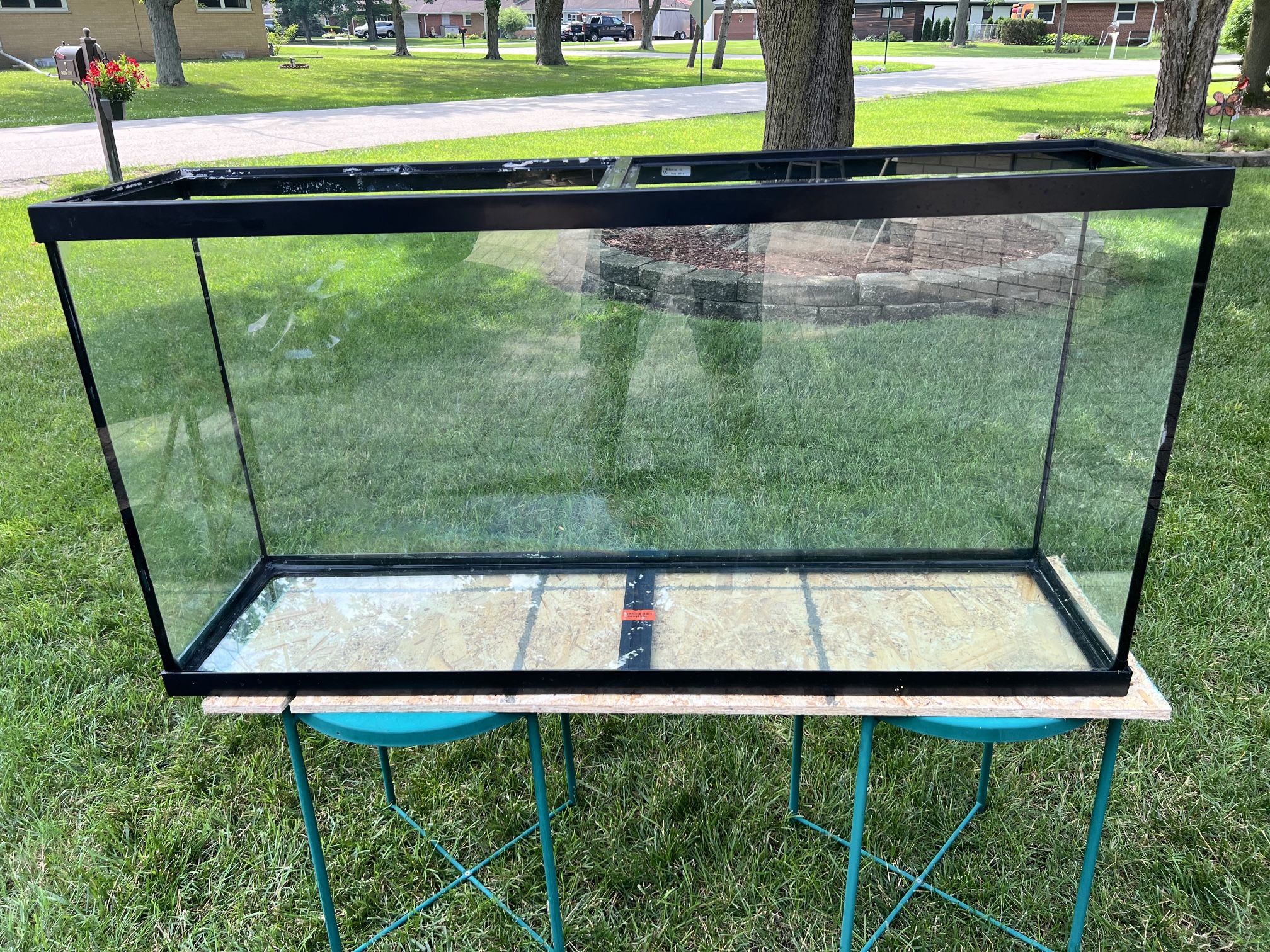 50 Gallon Fish Tank