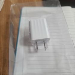 Dual Wall Charger