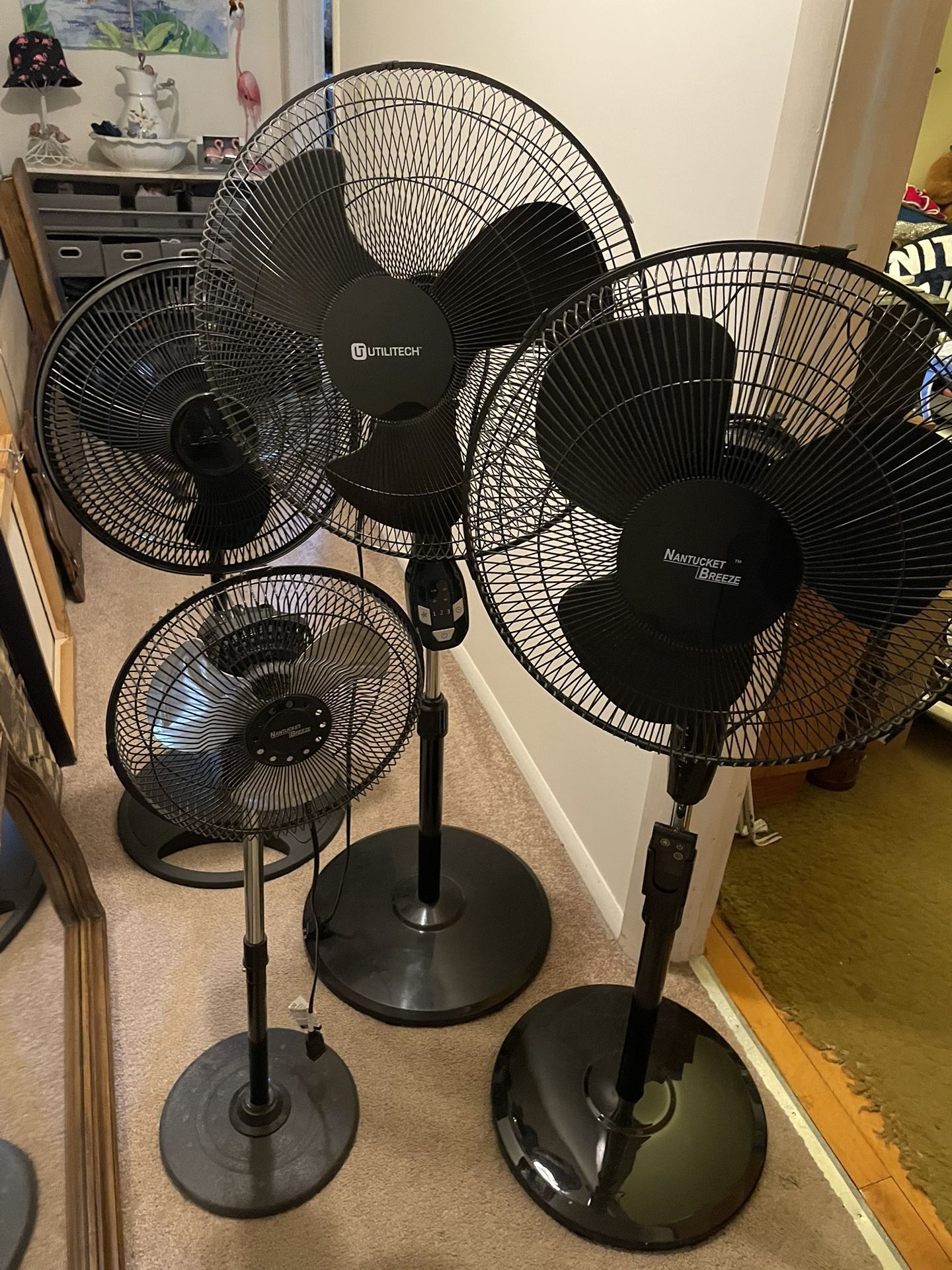 Oscillating Floor Fans
