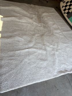 Free off white shag rug