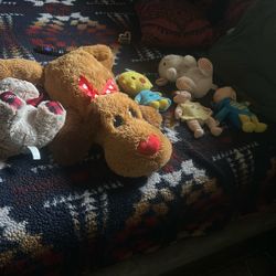 50 Cents Plush / Teddy Bears
