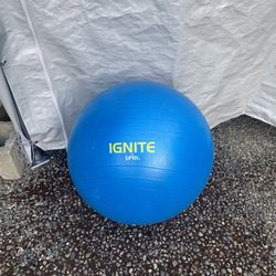 Weighted Exercise Ball