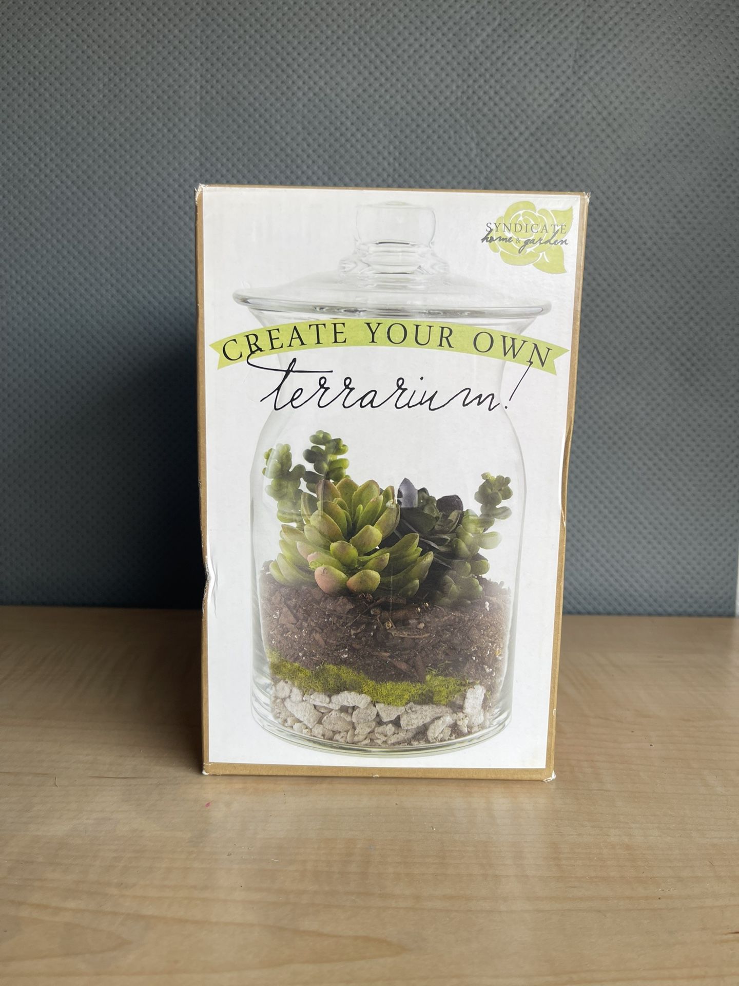 Terrarium - Brand New