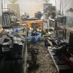 Fish Tanks And Supplies 