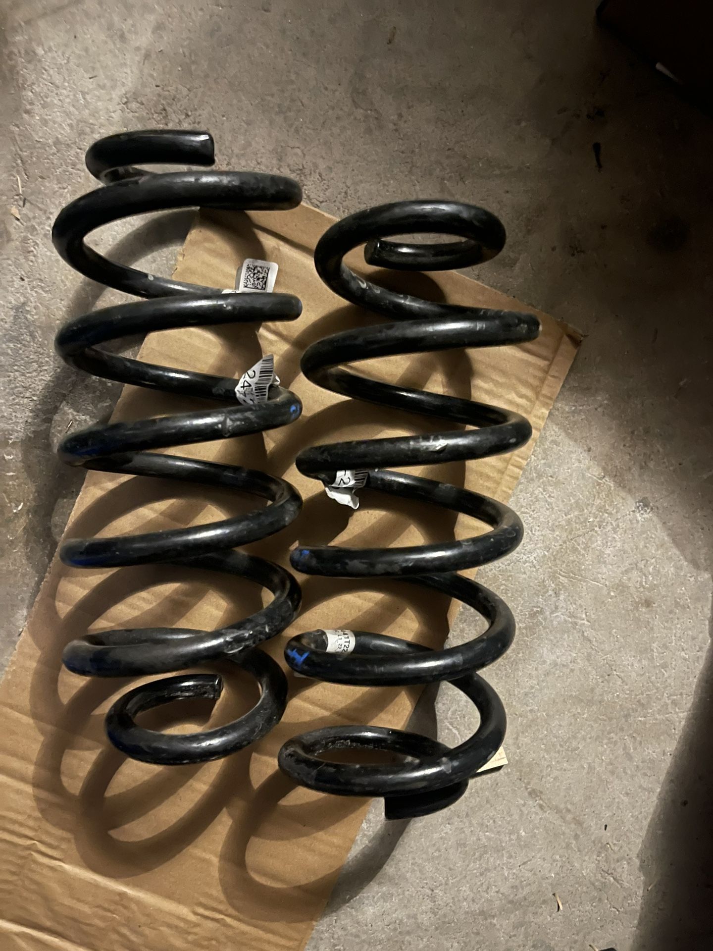 11th Gen Civic SI (2023) Rear Springs