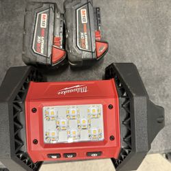 Milwaukee Flood Light 