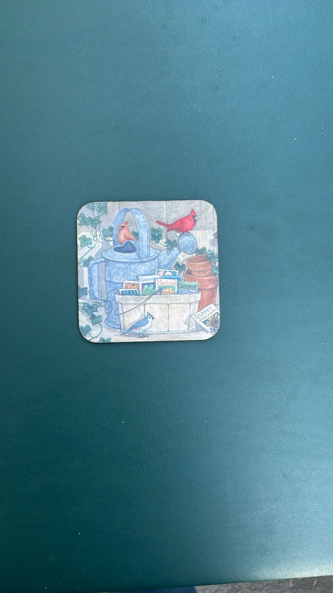 Bird Drink Coaster