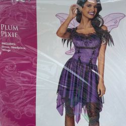 Fairy Costume 