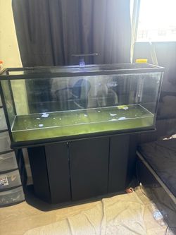55 gal fish tank and stand