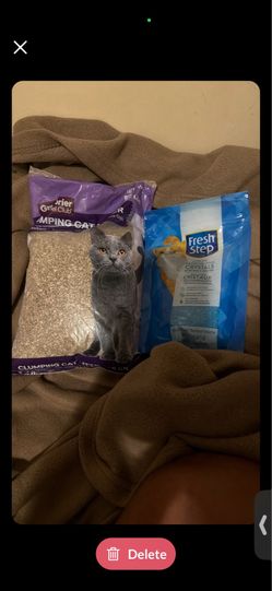 The Greenbrier Kennel Club Clumping Cat Litter and Fresh Step Litter Box Deodorizing Crystals