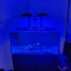 Waterbox 50.3