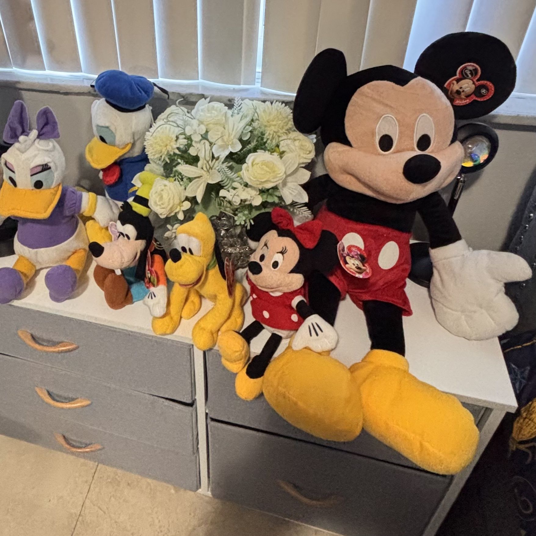 Disney Plush Characters
